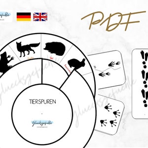Op de afbeelding: Een zwart-witte, afdrukbare dierenvoetafdrukkaart met een cirkel die is verdeeld in secties die verschillende dieren silhouetten en hun bijbehorende voetafdrukken tonen. De kaart is gelabeld "Tierspuren", wat in het Duits "Dierenvoetafdrukken" betekent. De kaart is ontworpen voor educatieve doeleinden en kan worden gebruikt om kinderen verschillende dierenvoetafdrukken te leren.