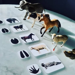 Animal footprints, reading tracks, Montessori