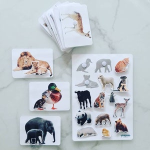 Baby animals and their mother, animals kids mom game, Montessori