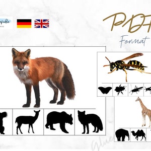 PDF silhouette animal game, shadow, animal shadow, Montessori matching