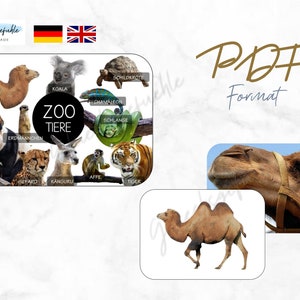 Könnte beinhalten: Eine bunte Illustration von Zootieren, darunter ein Kamel, ein Panda, ein Tiger, ein Koala, ein Gepard, ein Känguru, ein Affe, ein Chamäleon, eine Schlange und ein Erdmännchen. Die Illustration ist von einem schwarzen Kreis mit dem Text "Zoo Tiere" in Weiß umgeben.