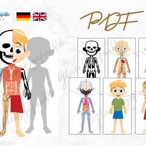 PDF Human Body Puzzle 7 pieces, Human Body Anatomy Puzzle, Montessori