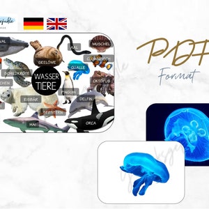 May include: A colorful educational chart featuring various aquatic animals, including a sea turtle, a seahorse, a jellyfish, a penguin, a shark, and an orca. The chart is titled "Wasser Tiere" which translates to "Water Animals" in English. The chart is designed for children to learn about different sea creatures.