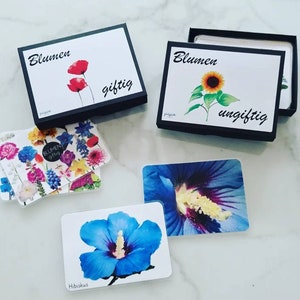 Blumen - giftig und ungiftig, Flash Cards, Lernkarten, Montessori Karten, Frühling