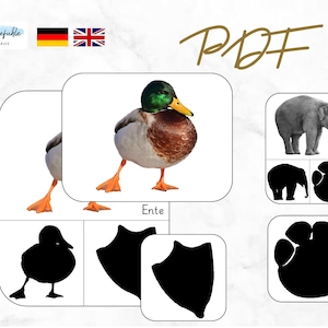 PDF Animal Footprints, Reading Tracks, Montessori, Printable, Footprint Animals