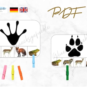 May include: Educational PDF printables featuring animal tracks and matching animals. The image shows two white rectangular cards with black animal track outlines. Each card has four animal images below. Colorful clothespins are included. The word "PDF" is written in gold.