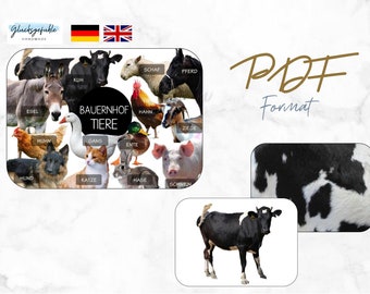 PDF Animales de Granja, Juego, Montessori, Juego Educativo, PDF Animales de Granja, Inglés y Alemán