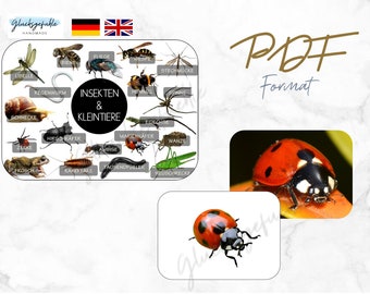 PDF Insects and Small Animals, PDF Insects & Small Animals, Montessori, Learning Game