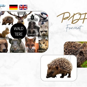 Jeu de mémoire sur les animaux de la forêt (PDF), Montessori, apprentissage à domicile, PDF Animaux de la forêt (anglais et allemand)