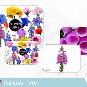 PDF giftige bloemen, afdrukbare giftige bloemen flashkaarten, Montessori, flashkaarten, lente
