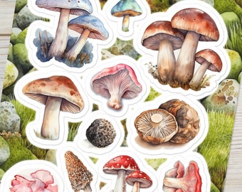 Watercolor Mushroom Sticker Sheet - Set of 14