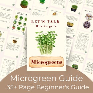 May include: A beginner's guide to growing microgreens. The cover features a watercolor illustration of microgreens and the text "LET'S TALK How to grow" and "Microgreens". The guide is 35+ pages long.