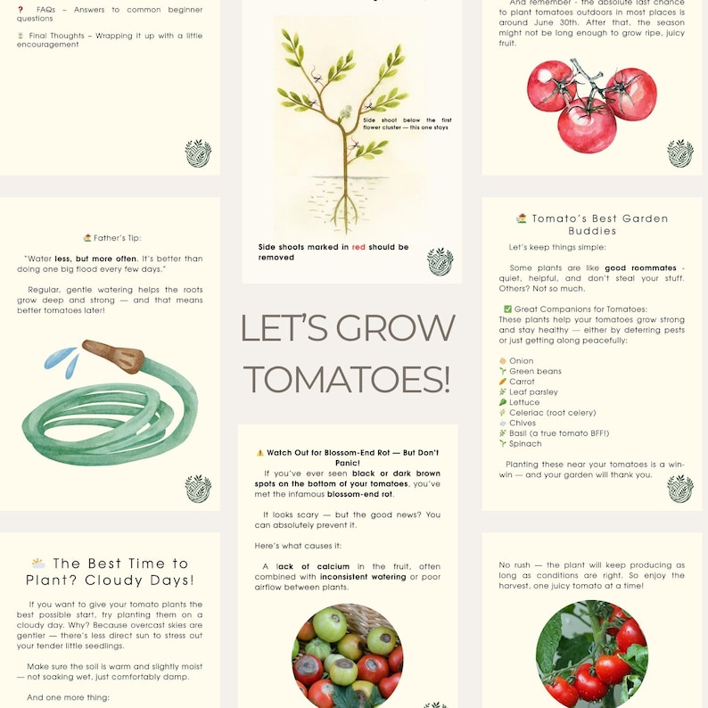 May include: A gardening guide titled "Let's Grow Tomatoes!" with watercolor illustrations. It includes tips on planting, watering, and companion plants. The guide features images of tomatoes, a hose, and a tomato plant diagram.