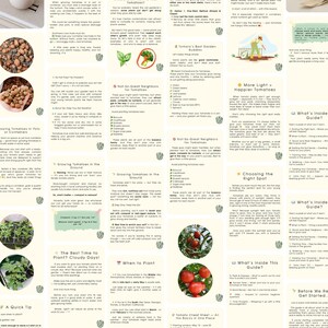 May include: A gardening guide with text and illustrations about growing tomatoes. The guide includes tips on planting, choosing the right spot, and identifying good and bad companion plants. The text includes "A Quick Tip" and "Tomato Cheat Sheet".
