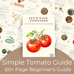 Puede incluir: Una guía para principiantes sobre el cultivo de tomates. La portada presenta una ilustración en acuarela de dos tomates rojos maduros con hojas verdes. El título "Let's Talk Tomatoes" se muestra encima del subtítulo "Your Simple Starter Guide to Growing Them Right". La guía tiene más de 60 páginas.