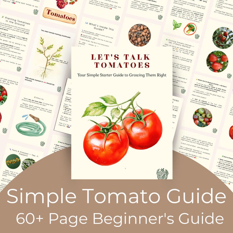 May include: A beginner's guide to growing tomatoes. The cover features a watercolor illustration of two ripe red tomatoes with green leaves. The title "Let's Talk Tomatoes" is displayed above the subtitle "Your Simple Starter Guide to Growing Them Right". The guide is over 60 pages.