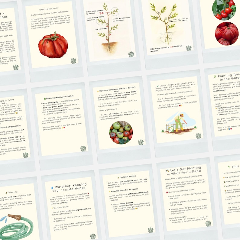 May include: A collection of illustrated cards with gardening tips for growing tomatoes. The cards feature text and diagrams on topics like planting, watering, and preventing blossom-end rot. The cards are on a light beige background.