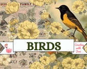 Bird Junk Journal Kit: Printable Collage Ephemera (Digital Download, 19 Pages)