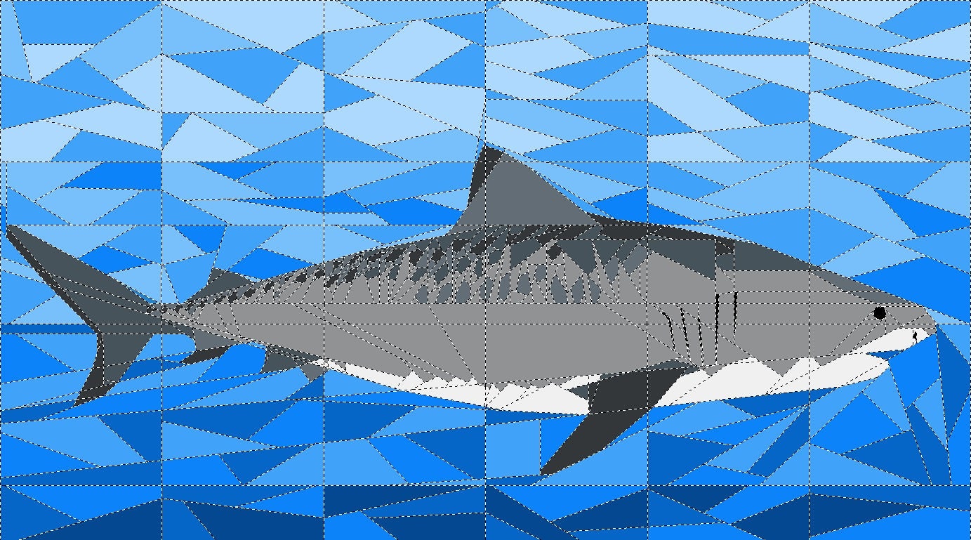 Shark essay writing image