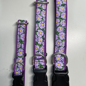 May include: Three purple dog collars with a floral print featuring small purple flowers with yellow centres. The collars are made of fabric and have silver metal hardware. The collars are different sizes.