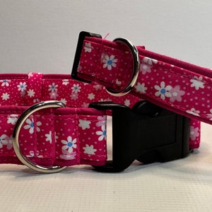 May include: Two pink dog collars with white flowers and silver hardware. The larger collar has a black plastic buckle.