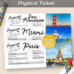 Physisches Ticket Benutzerdefinierte personalisierte Bordkarte Souvenir-Artikel Flugüberraschungsgeschenk Jahrestag Geburtstag Q18