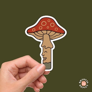 Adesivo per amanti dei funghi, decalcomania per agarico muscario, motivi a forma di fungo, regalo per giardiniere, adesivi per bottiglie d'acqua, bagagli, adesivo per raccoglitori, arte del fungo velenoso
