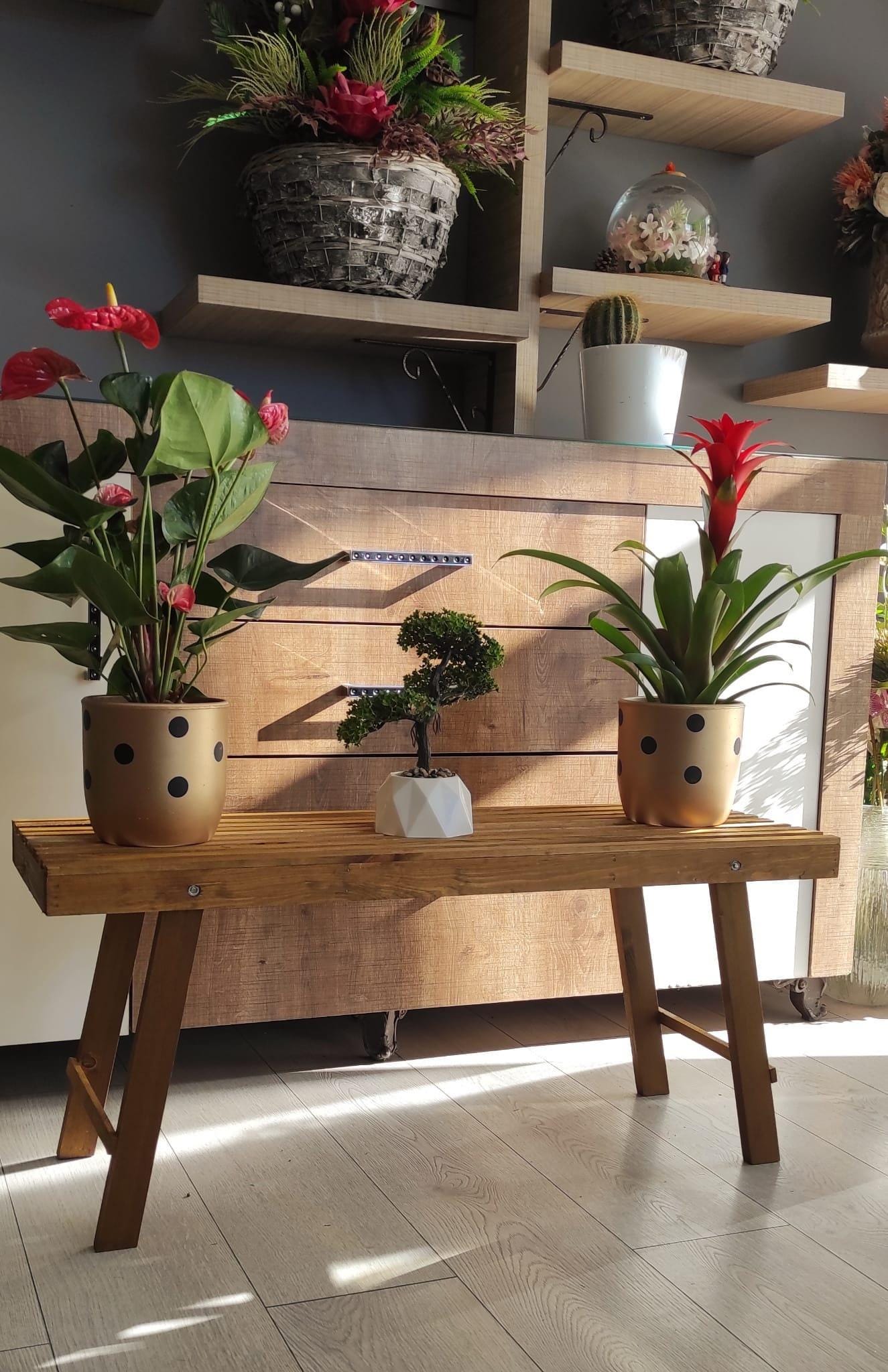 Handmade Wooden Plant Bench: Rustic Indoor Plant Stand