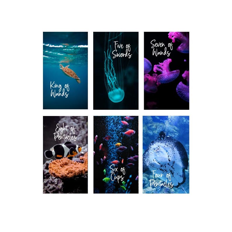 The Underwater Tarot Deck (78 Cards)*made TO ORDER* - Etsy