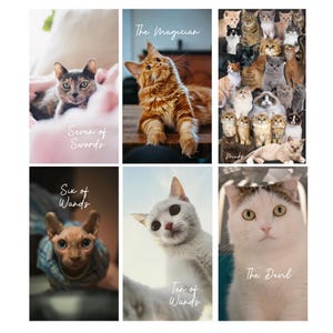 Baraja de Tarot del Gato (78 cartas) *HECHA A PEDIDO*