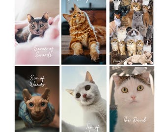 Cat Tarot Deck (78 cards) *MADE TO ORDER*