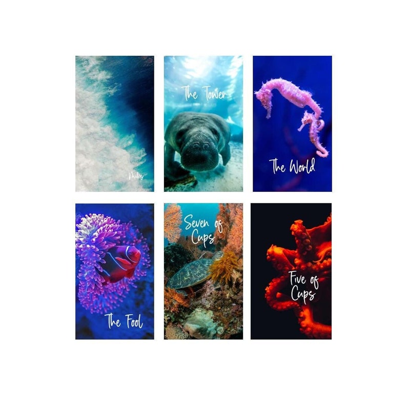 The Underwater Tarot Deck (78 Cards)*made TO ORDER* - Etsy
