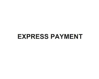 Custom listing -Express Shipping Payment