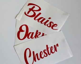 Single Name or word Vinyl Lettering