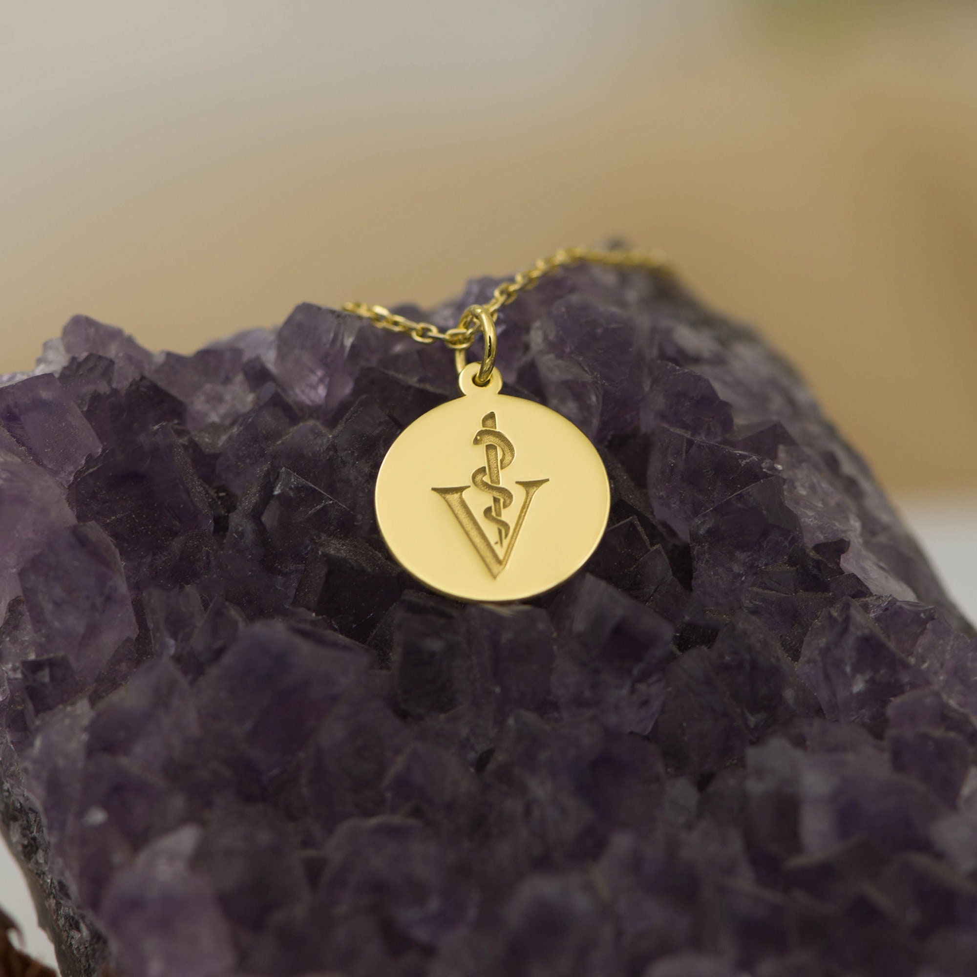 14K Solid Gold Veterinarian Symbol Necklace - Vet Jewelry, Animal Doctor Pendant, Vet Tech Charm, Pet Lover Gift, Medical Symbol