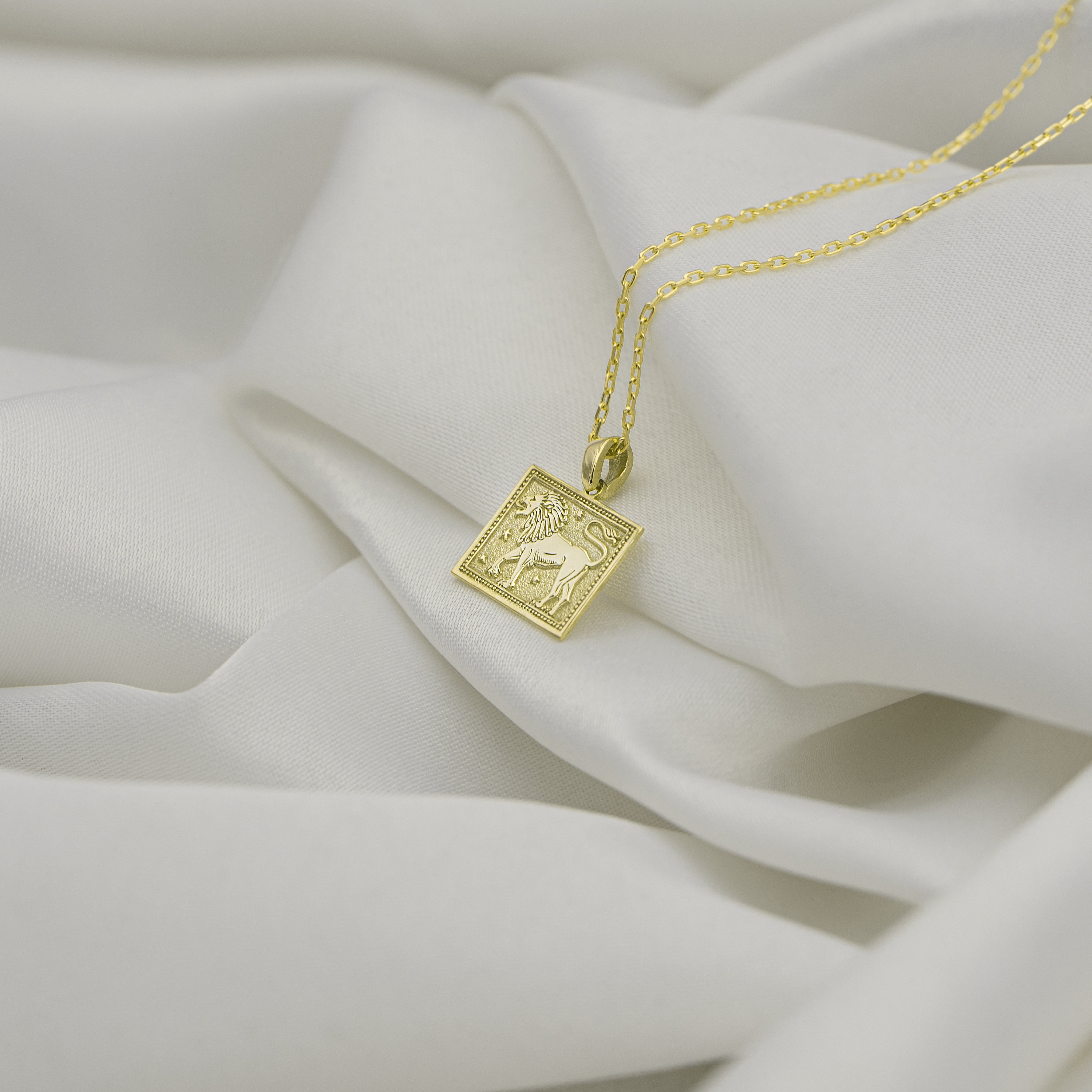 14金無垢の獅子座の星座ネックレス – 占星術コインペンダント - Etsy 日本