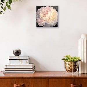 Peony Painting Floral Original Art Flower Pink White Oil Canvas Wall Art Artwork by N.Chernous image 8