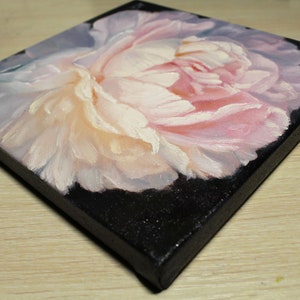 Peony oil painting. A close-up of a single, pale pink peony flower with a white center. The flower is painted in a realistic style with visible brushstrokes. The background is black.