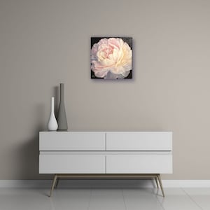 Peony Painting Floral Original Art Flower Pink White Oil Canvas Wall Art Artwork by N.Chernous image 5