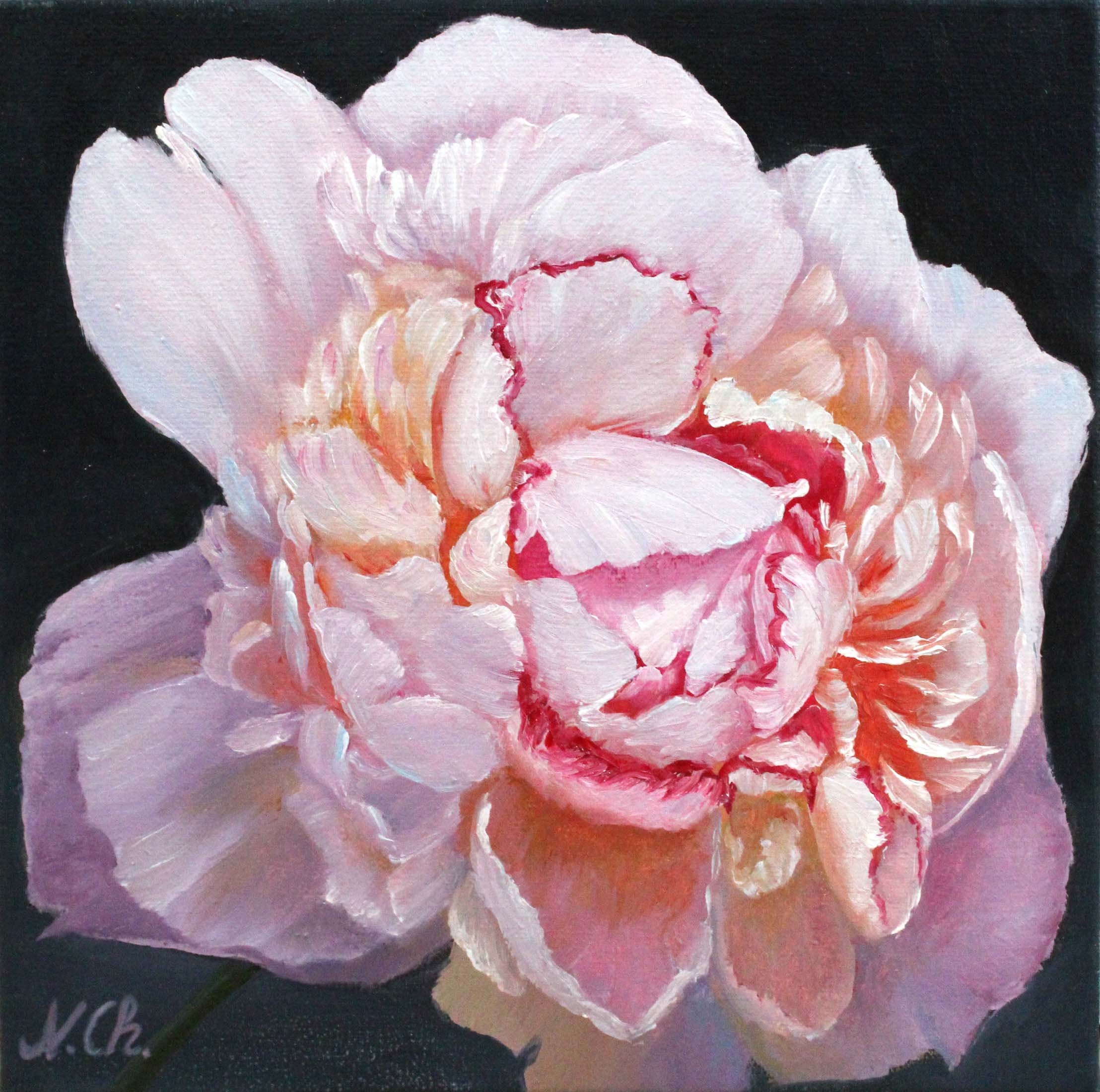 Peony Painting Floral Original Art Abstract Flower Painting Floral Wall Art 16 by 20 by ArtByBrencane Peony Painting Floral Original Art Abstract Flower Painting Floral Wall Art 16 by 20 by ArtByBrencane