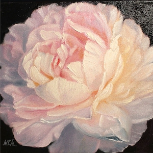 Peony oil painting. A close-up of a single, pale pink peony flower with a white center. The flower is painted in a realistic style with visible brushstrokes. The background is black.