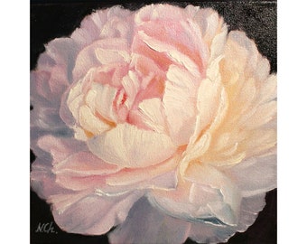 Peony Painting Floral Original Art Flower Pink White Oil Canvas Wall Art Artwork by N.Chernous