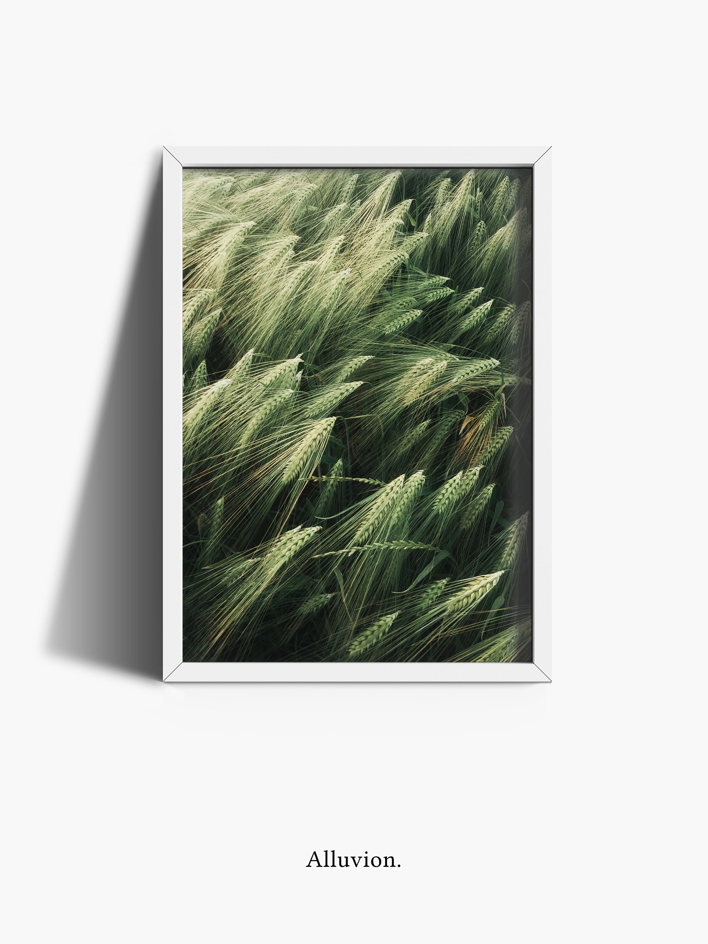 Nature Prints Botanical Print Green Prints Botanical Etsy