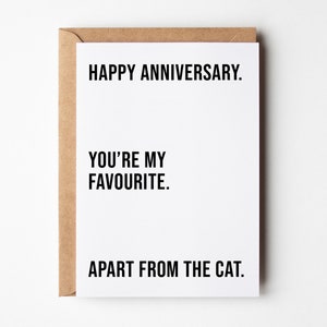 Funny Boyfriend Anniversary Card, Favourite Apart From The Cat, Cat Dad Anniversary Card, Anniversary Card For Him, Cat Dad Card, Cat Card