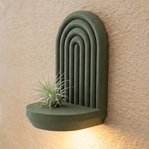 May include: A green wall-mounted planter with an arched design and a small shelf. The planter holds a small air plant. The wall is a light beige color, and the planter is illuminated from below.