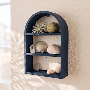 May include: A dark blue arched wall shelf with three horizontal tiers. The shelves hold a collection of natural items including a green air plant, a spiky sea urchin, a clear quartz crystal, and various white and tan seashells arranged on each level.