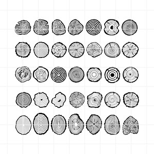 May include: A set of 36 black and white illustrations of tree rings. The illustrations are circular and show the growth rings of a tree. They are perfect for crafting projects, scrapbooking, or digital design.