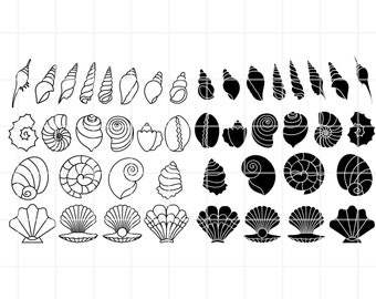 Seashell SVG, PNG, AI Clipart set. Vector illustration Cut files (Digital Download)