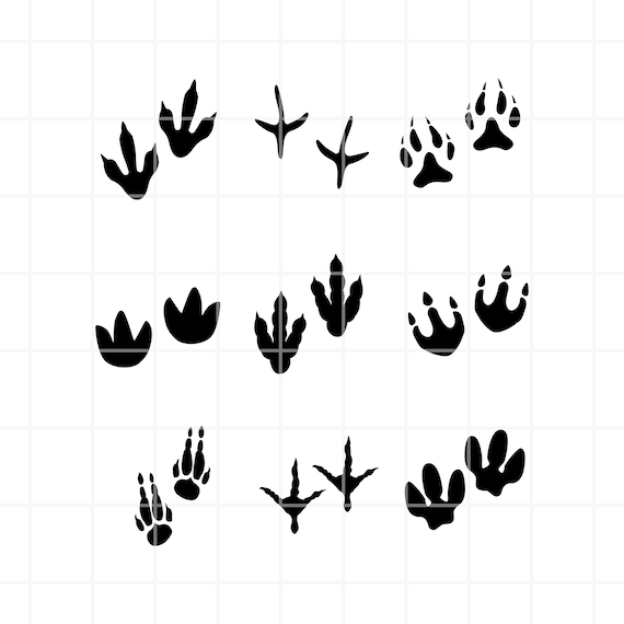 Dinosaur Footprints SVG. Dinosaur Track SVG. Dinosaur Footprints Png.  Dinosaur Track Png. Dinosaur Footprints Clipart. Dinosaur Track Cut. - Etsy  Canada