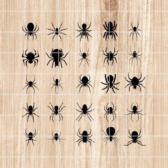 洋書 SPYDERS & SILHOUETTES Spider Svg. Spider Cut File. Spider Clipart. Spider Cutting Set